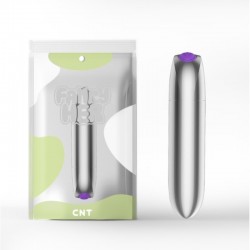 Vibrating bullet for clitoral stimulation Classic Bullet Silver