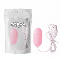 Vibrating egg on a wire Naughty Romp Vibrator Pink