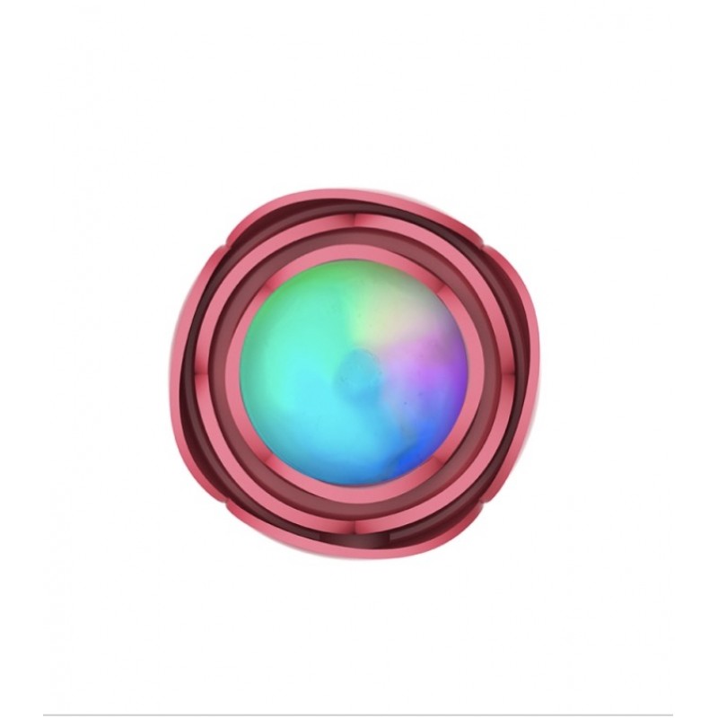 Анальная пробка с пультом управления и подсветкой Rainbow Light Rose Plug Red. Артикул: IXI62081