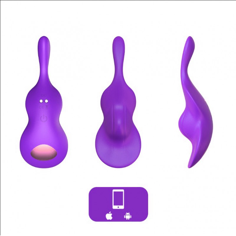 Вибростимулятор скрытого использования Take Over-The Violin Purple. Артикул: IXI62132