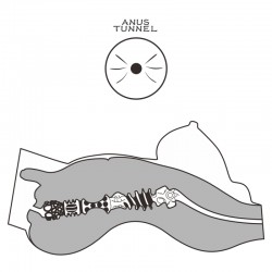 ����� , ������