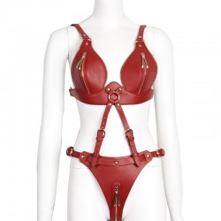   Fetish Leather Pants and Bra Red   