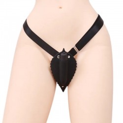 ����� , ������