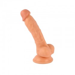 ����� , ������