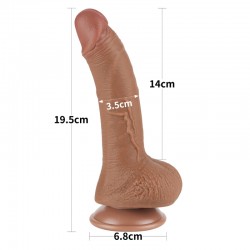  , 
