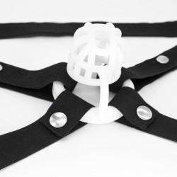 ����� , ������