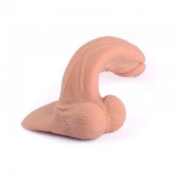  , 