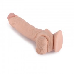  , 
