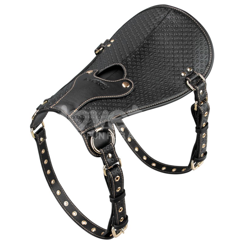 Крепление для фаллоимитатора на седло Rebellion Reign Dildo Saddle. Артикул: IXI63170