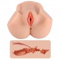  , 