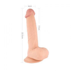  , 