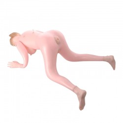  , 