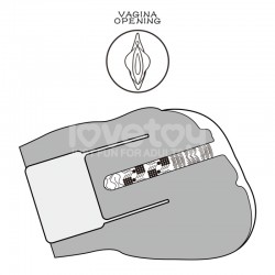 ����� , ������