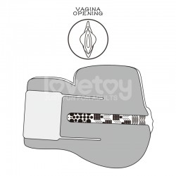 ����� , ������