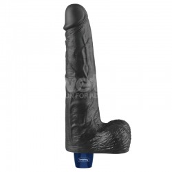 ����� , ������