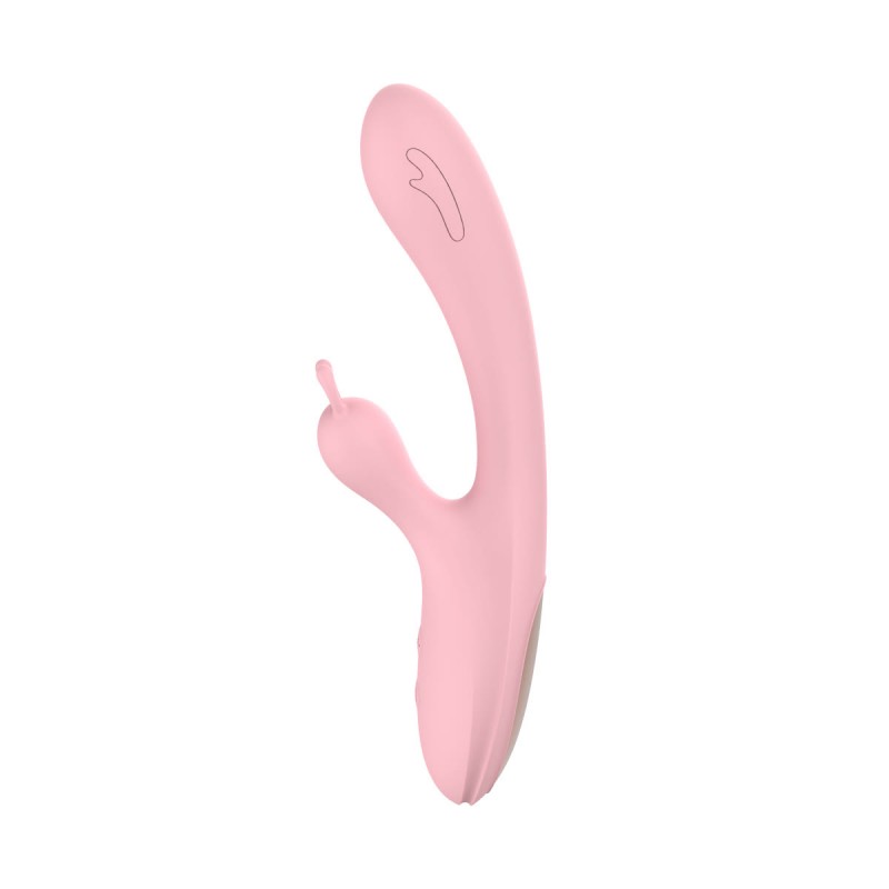 Lustoy 10-modes vibrator USB charging dual motor. Артикул: IXI63827