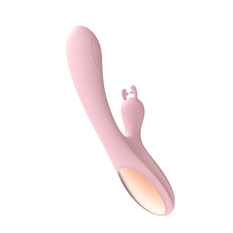 Lustoy 10-modes vibrator USB charging dual motor. Артикул: IXI63827