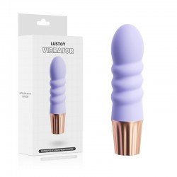 Lusoty USB charging vibrator 11*2.8cm purple