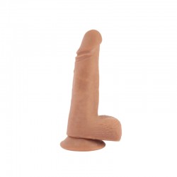 ����� , ������