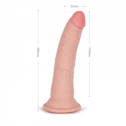 ����� , ������