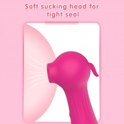  , 