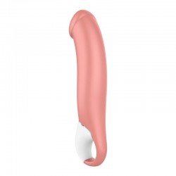 Satisfyer Master Vibrator