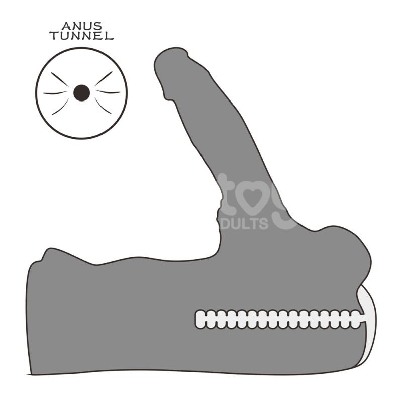 Torso With Penis Bendable Dildo Streetgirls No. 15. Артикул: IXI64500