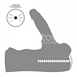 ����� , ������