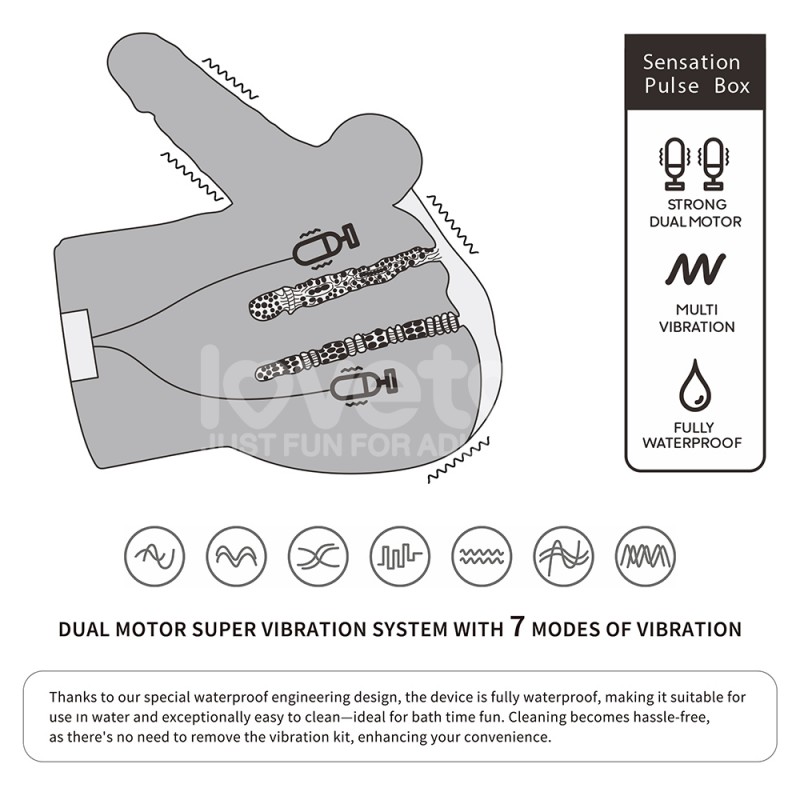 Vagina With Panties And Penis Streetgirls Dual Motor Sensation Pulse With Dildo. Артикул: IXI64503