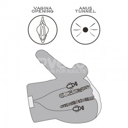 ����� , ������