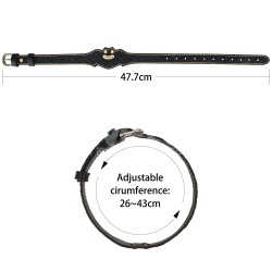 ����� , ������