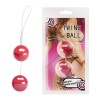Vaginal Balls On String Twins Ball Vaginal Balls On String Twins Ball