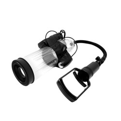 ����� , ������