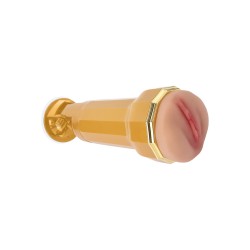 ����� , ������