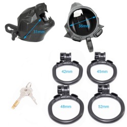 ����� , ������