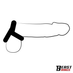 ����� , ������