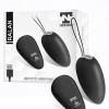 Ralan Vibrating Egg Remote Control