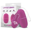 Ecopurple Vibrating Egg Remote Control