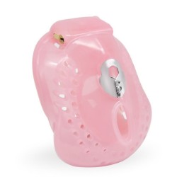 ������� ���� �������� Surrounded Chastity Device