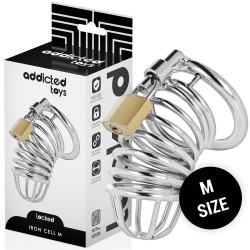 Locked Iron Cell Metal Penis Cage Chastity Belt Men
