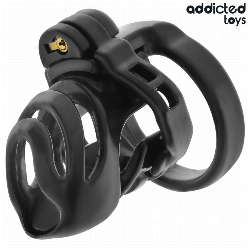 Locked Eternal Lock Penis Cage. Артикул: IXI65815