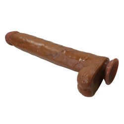 ����� , ������