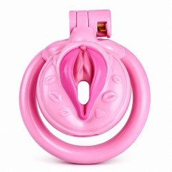 ���� �������� ��� ������ Chastity Lock Clitoris Penis Cock