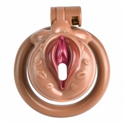 ���� �������� ��� ������ Chastity Lock Clitoris Penis Cock