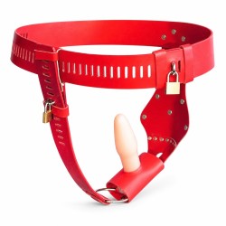 ������� ���� ���������� Relieving Nature Chastity Belt Vaginal Plug