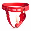 ������� ���� ���������� Relieving Nature Chastity Belt Vaginal Plug