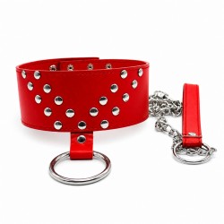 Studded Leash Collar