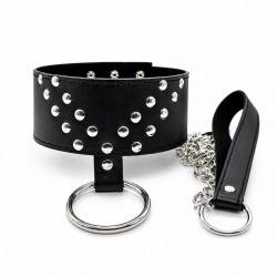 Studded Leash Collar