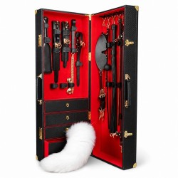 High Grade Suitcase Bdsm Kit