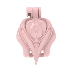 ������� ���� �������� 3D Printing Thorn Heart �hastity �age